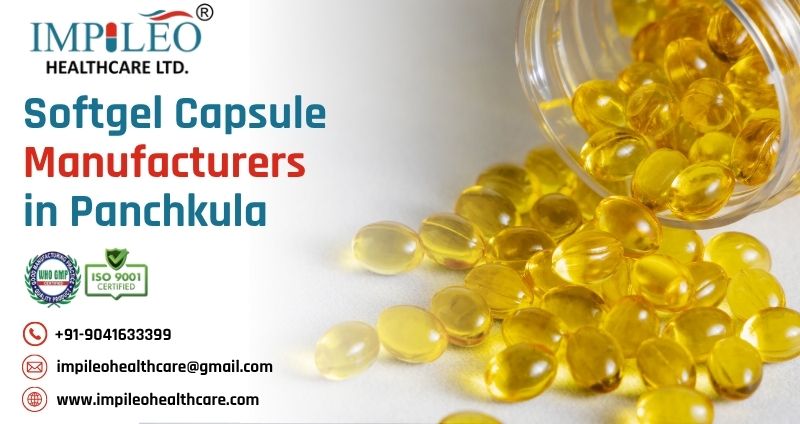 Softgel Capsule Manufacturers in Panchkula