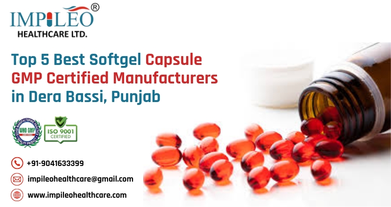 Best Softgel Capsule